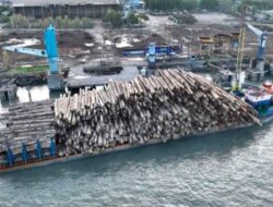Berkas Perkara Lengkap, Kemenhut Siap Limpahkan Perkara Illegal Logging Ribuan Batang Kayu di Mentawai Sumbar ke Kejaksaan