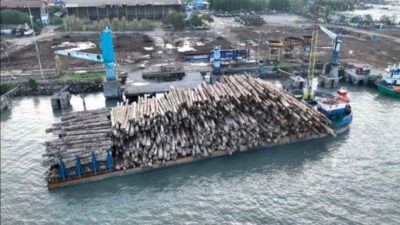 Berkas Perkara Lengkap, Kemenhut Siap Limpahkan Perkara Illegal Logging Ribuan Batang Kayu di Mentawai Sumbar ke Kejaksaan