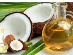 Yuk Kenali Manfaat Minyak Kelapa, Si “Emas Cair” Dengan Segudang Manfaat Untuk Kesehatan Dan Kecantikan