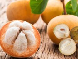 Yuk Mengenal Kecapi, Buah Eksotis Nusantara dengan Segudang Manfaat Kesehatan