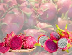 7 Manfaat Buah Naga Untuk Kesehatan Yang Perlu Kita Ketahui