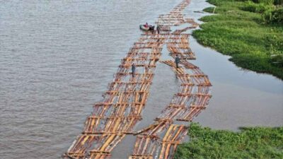 Gakkum Kehutanan Gagalkan Peredaran Kayu Ilegal, Amankan Rakit Kayu Berisi Ratusan Kayu di Ketapang Kalimantan Barat