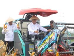 Mentan Amran: Tanam Jagung, Upaya Cegah Kejahatan Sejak di Hulu