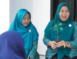 Warga Desa Mekar Karya, Lampung Timur, Kompak Tanam Pepaya, SPPG Siap Tampung Hasil Panen