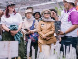 Menengok Potensi Kakao di Lampung Timur, Satu Hamparan Terasa Tiga Hektare