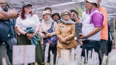 Menengok Potensi Kakao di Lampung Timur, Satu Hamparan Terasa Tiga Hektare