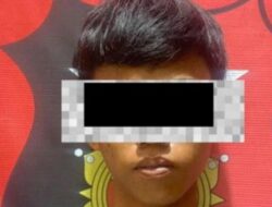Buronan Kasus Pengeroyokan Anak Hingga Tewas Akhirnya Ditangkap Tekab 308 Polres Pesisir Barat