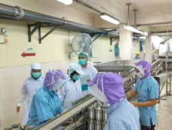 KKP Kirim 1.852 Kontainer Udang Bersertifikat Bebas Cesium ke AS dalam Tiga Bulan