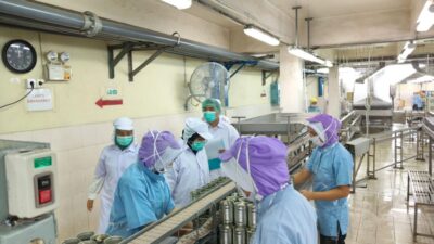 KKP Kirim 1.852 Kontainer Udang Bersertifikat Bebas Cesium ke AS dalam Tiga Bulan