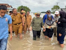 Pemkab Lampung Timur Akan Bangun Jembatan Merah Putih Di Kali Pasir, Way Bungur