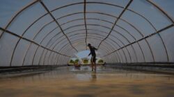 KKP Fasilitasi Tambak Garam Rakyat Teknologi Tunnel – SWRO Hadapi Tantangan Cuaca