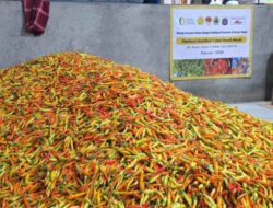 Kementan Guyur Pasokan ke PIKJ untuk Tekan Lonjakan Harga