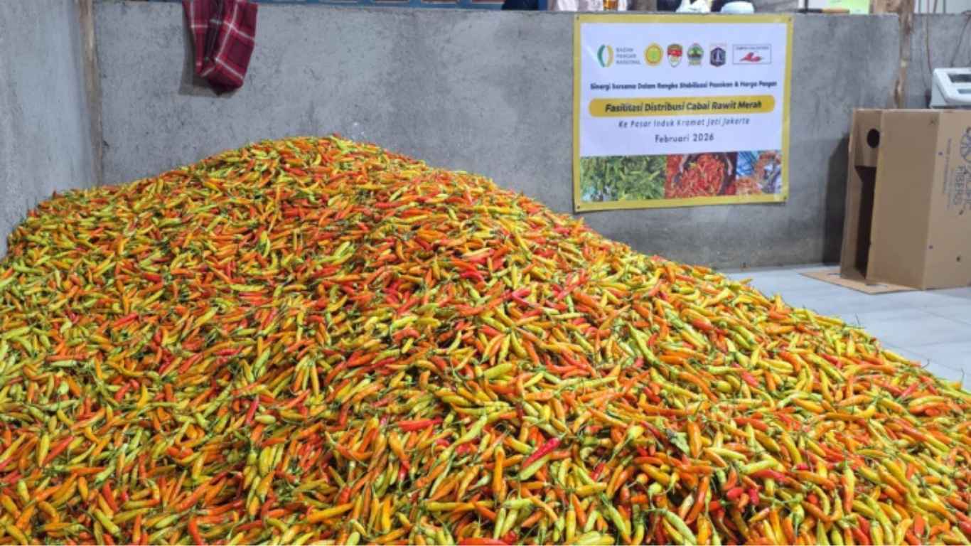 Produk Panen Cabe | Foto : Kementan