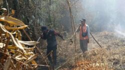 BMKG Deteksi 143 Titik Panas di Provinsi Riau