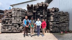 Gakkum Kehutanan Tuntaskan Jaringan Kayu Eboni Ilegal Maluku-Surabaya, Dua Tersangka Diserahkan ke Jaksa