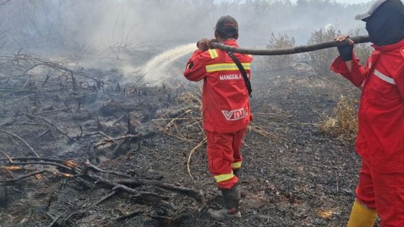 Pemadaman Karhutla | Foto : Kemenhut