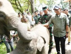 Gubernur Lampung Apresiasi Presiden Yang Siapkan Rp 839 Miliar Untuk Way Kambas