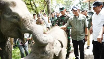 Gubernur Lampung Apresiasi Presiden Yang Siapkan Rp 839 Miliar Untuk Way Kambas