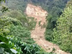 Ekspedisi Penelusuran “Titik Putih” Di Gunung Rajabasa Temukan Titik Longsor Yang Viral