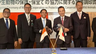 Indonesia–Jepang Perkuat Kerja Sama Konservasi Satwa Liar melalui Breeding Loan Komodo