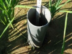 Hemat Air hingga 20%, Kementan Dorong Pengelolaan Air Sawah Hadapi Kemarau