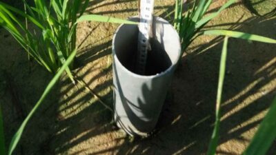 Hemat Air hingga 20%, Kementan Dorong Pengelolaan Air Sawah Hadapi Kemarau