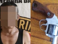Seorang Pria Diringkus Polisi Karena Curi Buah Sawit Dan Miliki Senpi Rakitan
