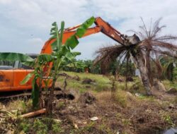 Kemenhut dan Satgas Garuda Targetkan Penertiban 102 Hektare Sawit Ilegal Di SM Karang Gading