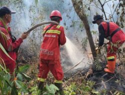 BPBD Di Seluruh Indonesia Siapkan Antisipasi Kemarau Panjang Dan Karhutla