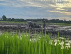 Hujan Belum Surut di April, HKTI Sebut Ada Peluang Indeks Pertanaman Meningkat