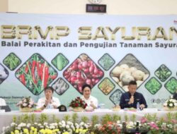 Kementan Perkuat Perbenihan Bawang Putih Untuk Peningkatan Produksi Dalam Negeri