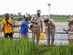 Mau Ikut PTSL? Ketahui Biaya Persiapannya yang Berlaku di Masing-Masing Wilayah