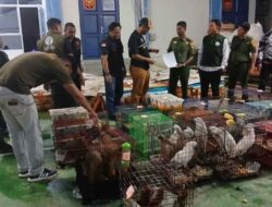 Sindikat Penyelundup Ratusan Satwa Langka ke Thailand Segera Disidang, Pelaku Terancam 15 Tahun Penjara