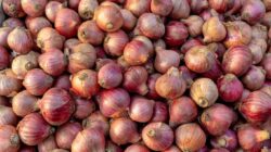 Pedagang di Pasar Gintung Beralih Jual Bawang Padang Karena Bawang Merah Brebes Mahal