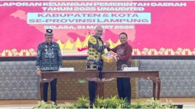 Wabup Lampung Barat Serahkan LKPD Kepada BPK-RI