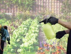 7 Tanaman Ini Ampuh Untuk Dijadikan Pestisida Organik