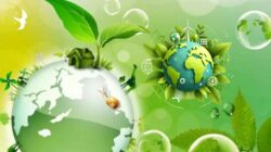 Peringatan Hari Bumi: Dari Jeritan Seorang Senator Menjadi Gerakan Global