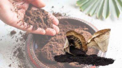 Dari Sampah Menjadi Berkah, Ini 7 Cara Cerdas Memanfaatkan Ampas Kopi