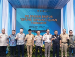Tapioka Lampung Tembus Pasar Tiongkok Dan Selandia Baru