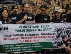 WALHI Sumbar Soroti Tragedi Tambang Ilegal Sijunjung, Sebut Negara Gagal Lindungi Rakyat