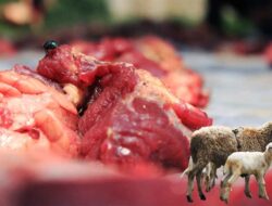 Dari Hewan Kurban ke Meja Makan: Ini Panduan Mengolah Daging Kurban Agar Awet dan Lezat