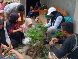 Gapoktanhut Wono Asri Pematang Baru Gelar Pelatihan Berseri Teknik Stek Alpukat Siger