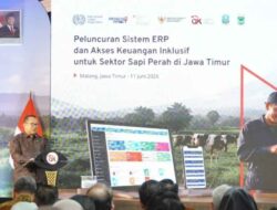 OJK dan ILO Luncurkan Sistem Digital, Perluas Akses Pembiayaan Peternak Sapi Perah