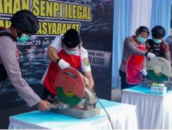 Polda Lampung Musnahkan Ratusan Senjata Api Rakitan Hasil Penyerahan Warga