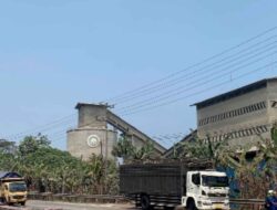 WALHI Lampung: Debu Industri Mengepung Panjang, Jangan Paksa Warga Menghirup Risiko