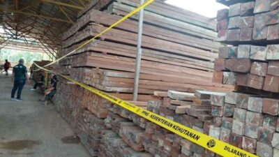 Kemenhut Tuntaskan Berkas Perkara Gudang Penampungan Kayu Ilegal Di Samarinda