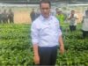 Mentan Pastikan Bibit Kopi Dan Kakao Gratis Lewat Program 350 Miliar Untuk Lampung