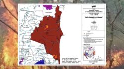 WALHI Lampung: 74 Titik Panas Terdeteksi Di Way Kambas, Kebakaran Terus Berulang