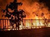 Karhutla Di Way Kambas Terulang, Ratusan Hektare Hutan Terbakar