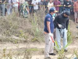 Polres Mesuji Olah TKP Penemuan Mayat Perempuan Di Perkebunan